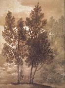Claude Lorrain Trees (mk17) oil painting picture wholesale